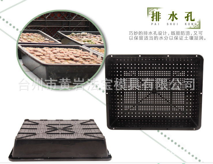塑料多肉种植盒花盆 育苗盘 育苗盆 育苗箱高品质模具定制注塑