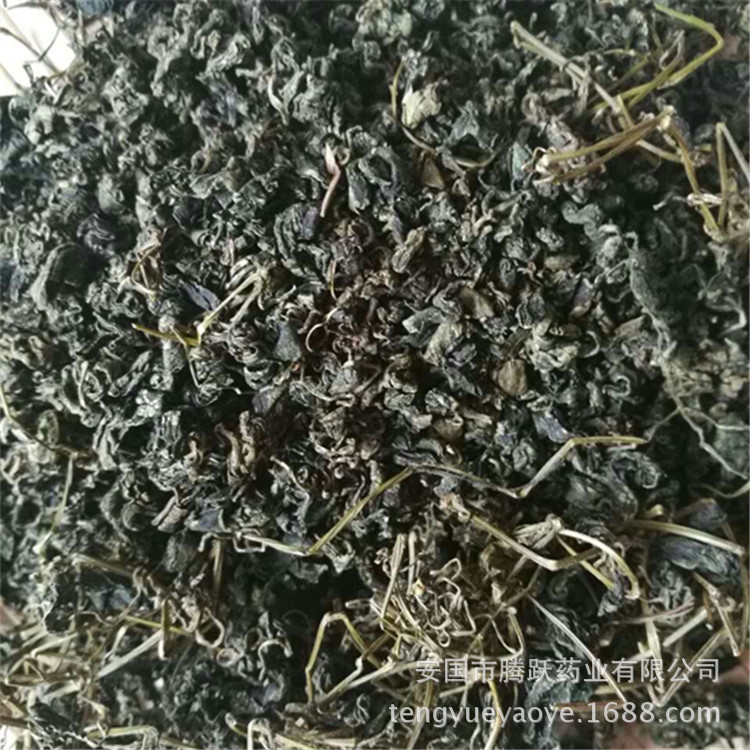 Jiaogulan Granules Gynostemma Loose Bulk Herbal Tea 500g key features