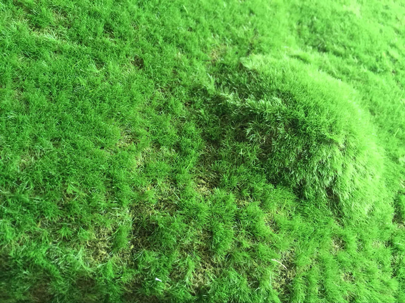 QQ图片20160707150611_副本