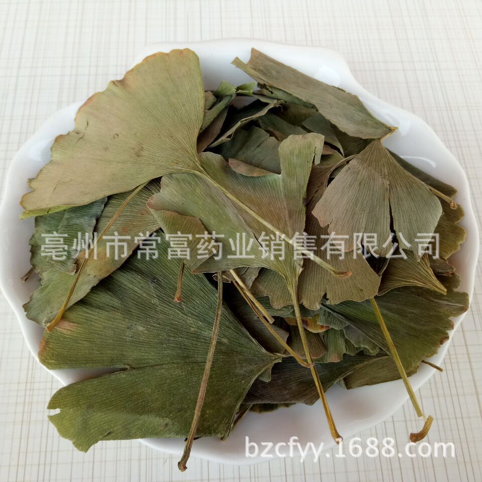 Ginkgo Leaf Tea Yin Xing Ye Dried Ginkgo biloba Leaves Triangular Teabags Fresh Green Cut Leaf 500g overview