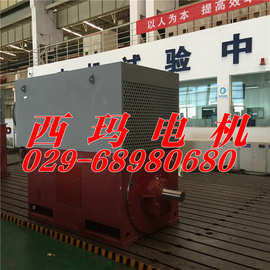 YKS7103-16 800KW/IP55/6KV西玛牌/高压电机图片