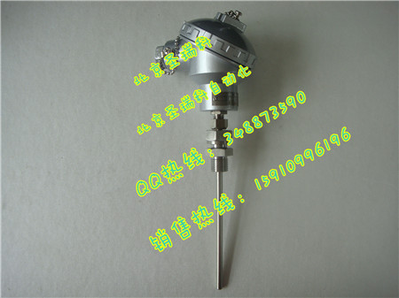 DSC01861