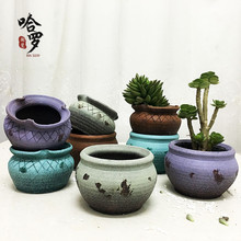 绿化苗木行业迎来春天