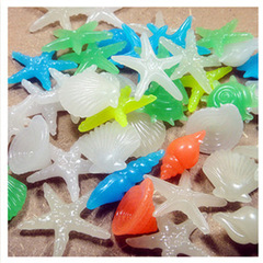 廠家批發各色夜光海螺夜光貝殼夜光石頭魚缸發光造景石熒光石一顆