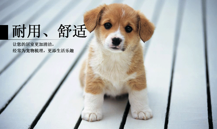 2686045777_1223785954