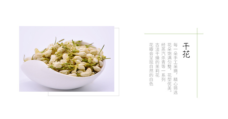 香型 新鲜茉莉花苞茶叶干花新茶孕妇花草茶罐