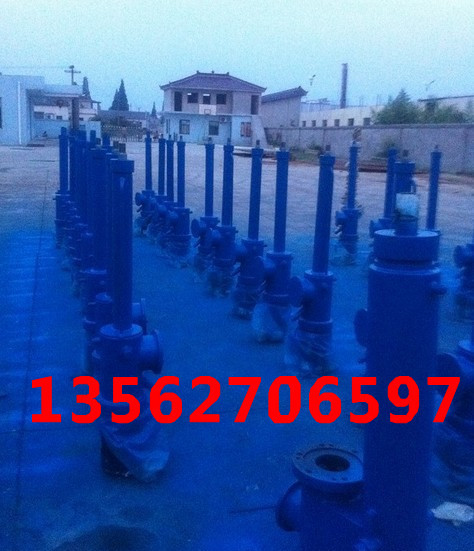 DYTZ电液动推杆安源机械_副本