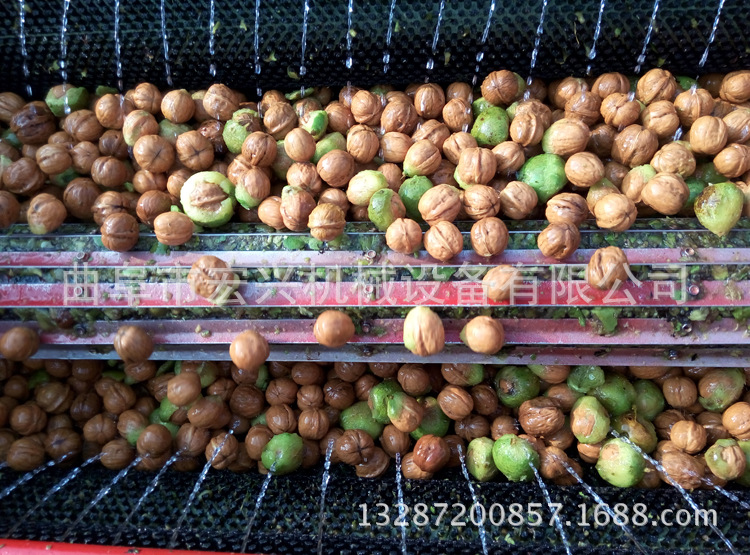 多功能核桃脱皮机 新鲜核桃去皮机