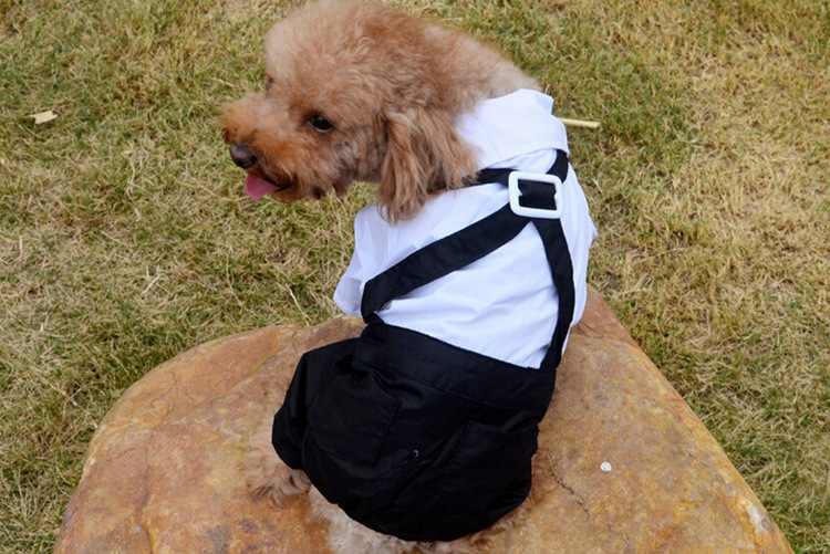 Formal Pet Jumpsuit with Bow Tie