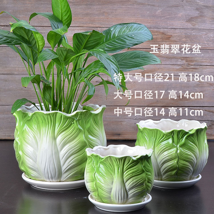 玉翡翠