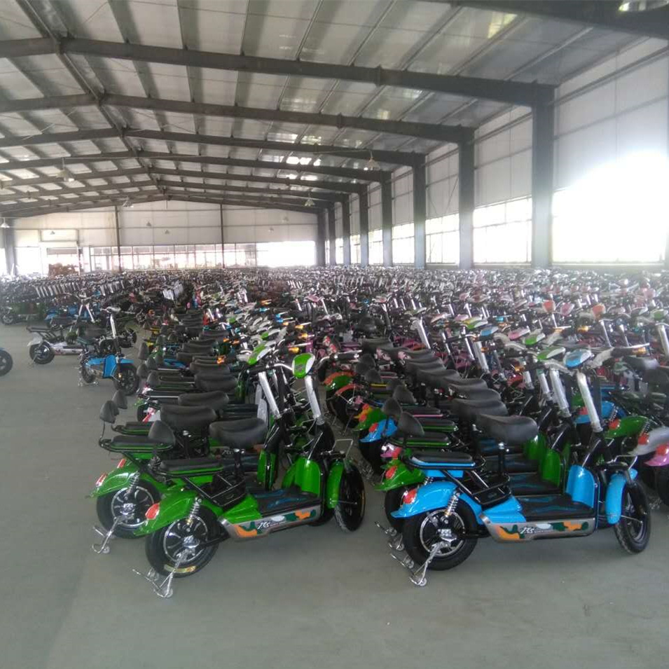 电动自行车-厂家冬季让利礼品活动促销电动两