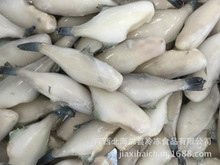 廠家批發供應 北海冷凍馬面魚 冷凍粗加工海鮮 水產品 單凍馬面魚