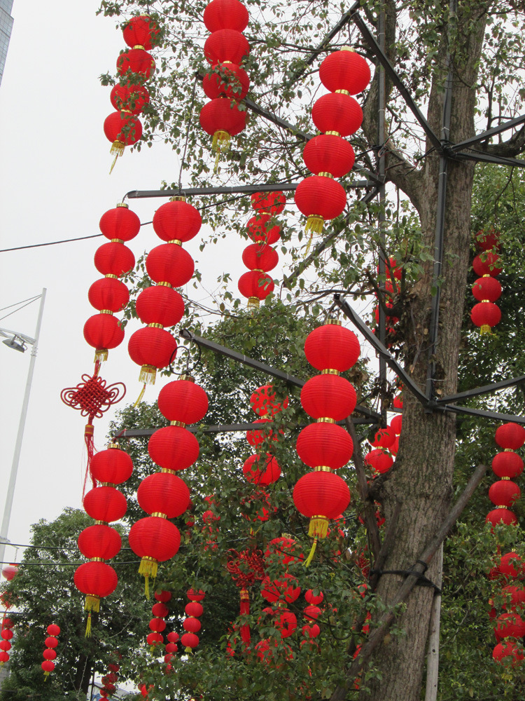 TB2mcidfFXXXXXdXpXXXXXXXXXX_!!