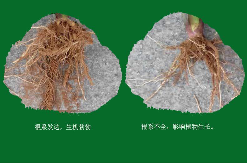 详情1_12