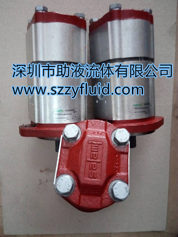 2PE13.8/6.5D-P55S3-POMPA萨拉米齿轮泵萨拉米多路阀salami