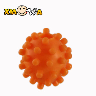 �S���ṩ �E�A���� ����������� ���z�������