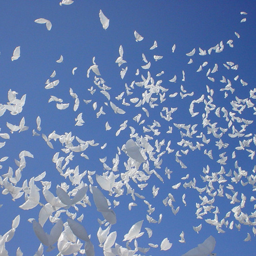 Wedding decoration white dove balloons, wedding dress photography floating pigeons aluminum film balloons, peace dove aluminum foil balloons