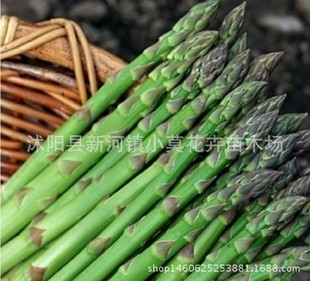 �����_�J�S�N�� ��횲˷N�� ����ʯ��طN��