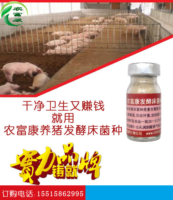 养猪发酵床菌种