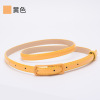 Polyurethane belt, suitable with a skirt, industrial decorations