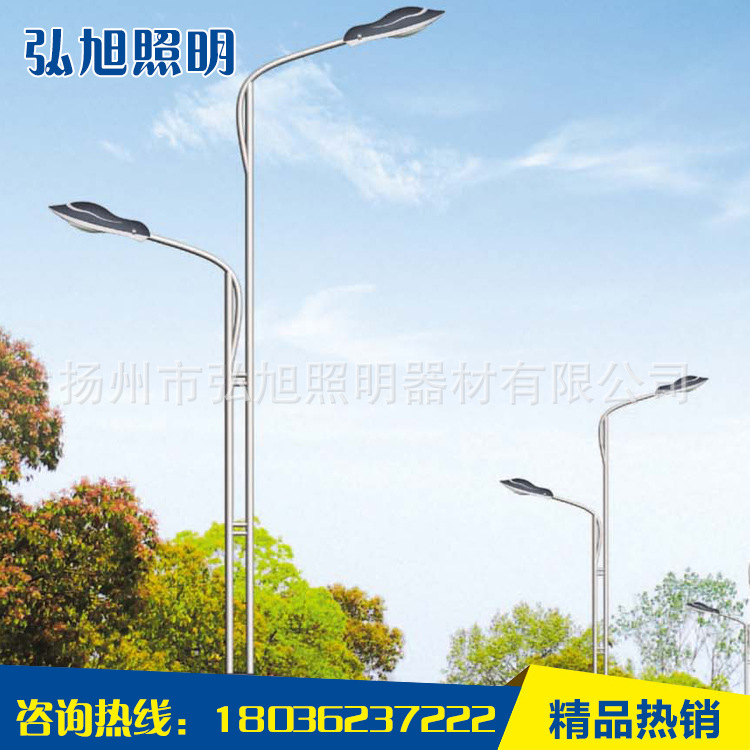 扬州弘旭照明 厂家直销 单/双臂灯杆 6米led路灯