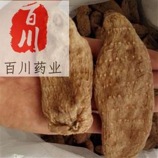 �������l�����ͨ������ș�ġ�һ�ﲻ��10��������Ƭ