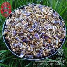 中药材 葛花干葛根花葛根花 批发花草茶量大从优