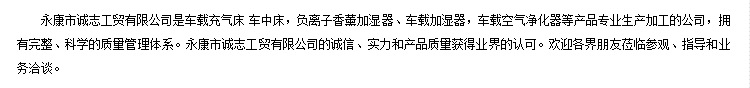 公司介绍文字