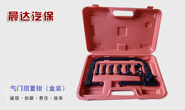 Wholesale High Quality Auto Repair and Maintenance Tools Engine Top Valve Removal Pliers Valve Pliers with Tool Box