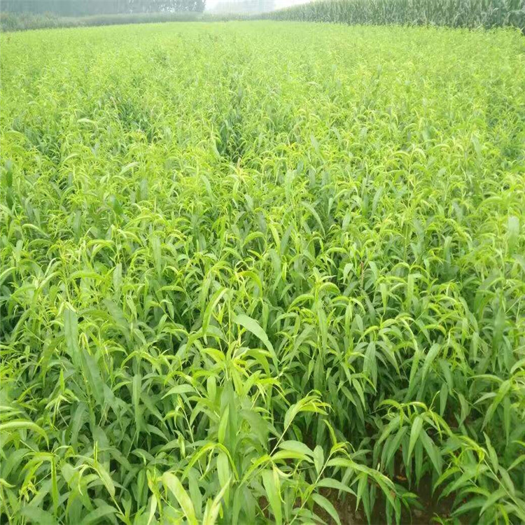 QQ图片20160904215357