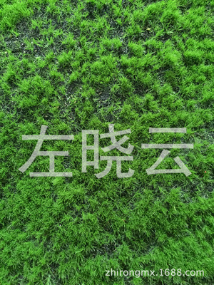 植绒工厂仿真人造草坪海绵底假草皮 植1.5-8MM绿色毛家居室内装饰