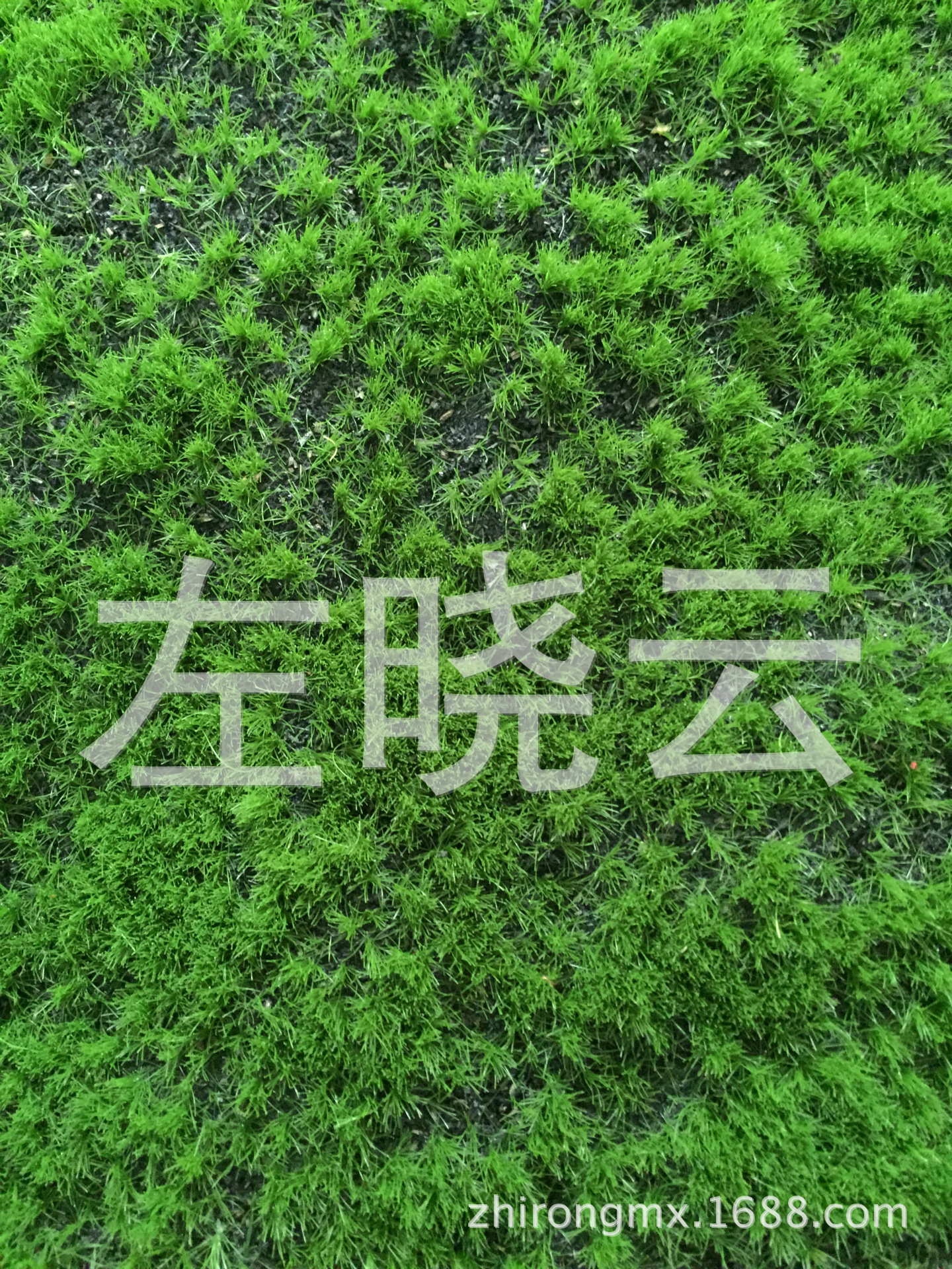 植绒工厂仿真人造草坪海绵底假草皮 植1.5-8MM绿色毛家居室内装饰