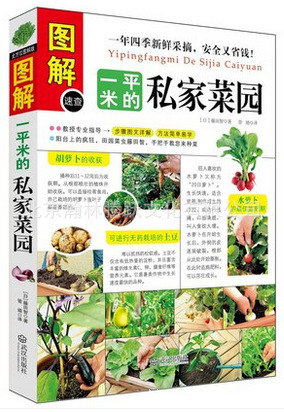 Illustrated One Square Meters' Private Vegetable Garden Window Sill Balcony Courtyard Top Floor Easy Vegetable Growing Manual Book Creative