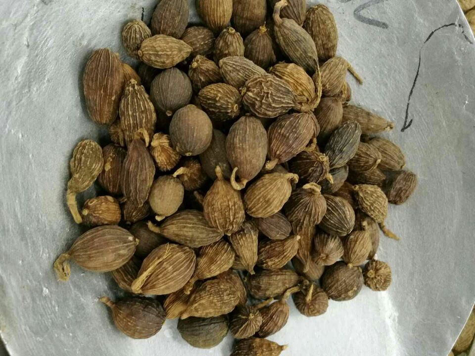 9F865539D0025CEE7DABCFAB6AECBE