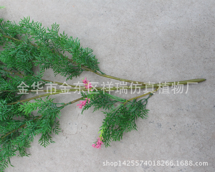 XRB-147 柏树96叶70CM 6