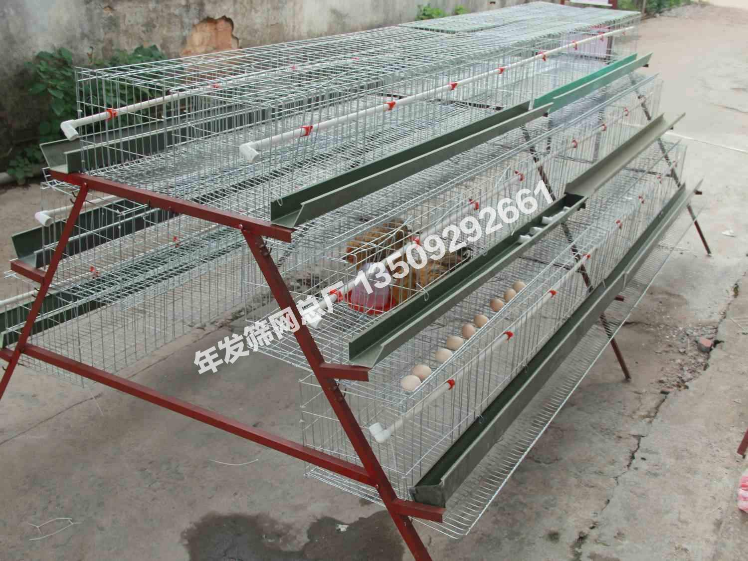 三层五门蛋鸡笼 镀锌防生锈 加粗加密喷塑鸡笼子新型养殖鸡笼设备-阿里巴巴