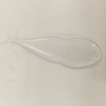 邦宝力PVC胶水环保透明100ML支装  软PVC胶水皮革布料粘接