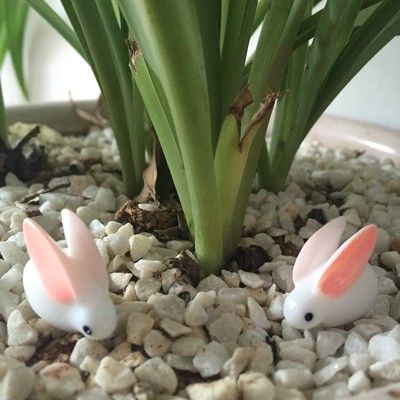 货源小白兔兔子兔斯基 大耳朵兔子微景观摆件迷你动物摆件花卉装饰品批发