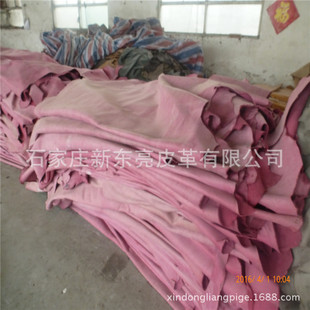 ��ţƤ�S�ҡ�ţƤ�^�����Ь����Ƥ�� �����M���SţƤ�ӹ�����