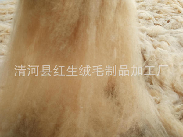 Manufacturer supplies combed fine camel hair