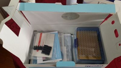 艾本德30-300μl eppendorf Research plus 12道可调量程移液器