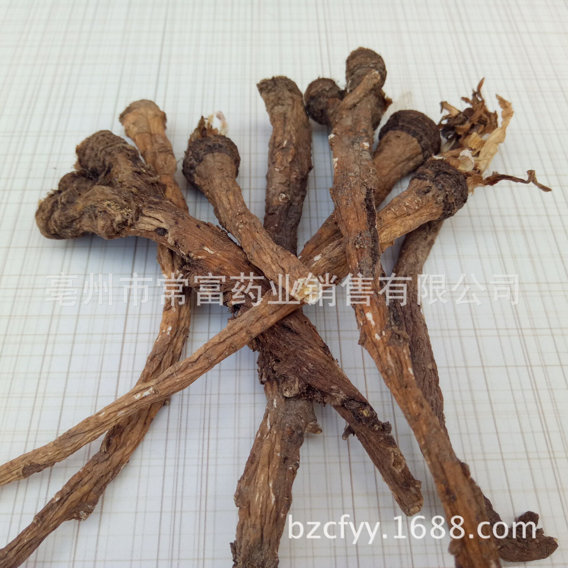 Dandelion Root Tea Pu Gong Ying Gen Washed Dried Roots for Herbal Infusions and Decoctions 500g key features
