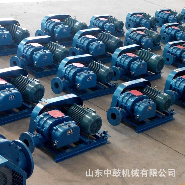 羅茨風(fēng)機(jī)