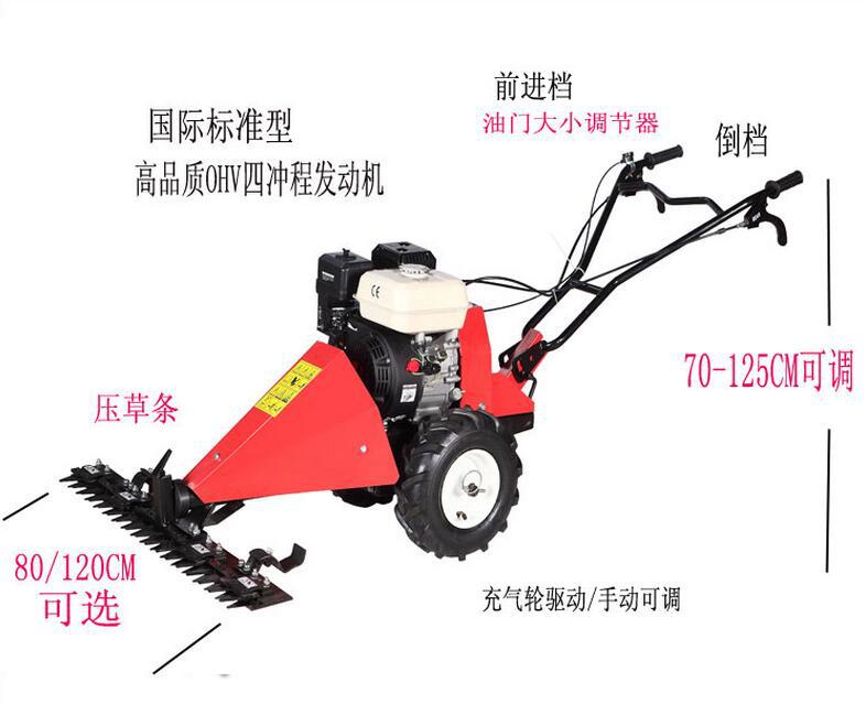肥皂草割草机 果岭剪草机 铜锤草割草机
