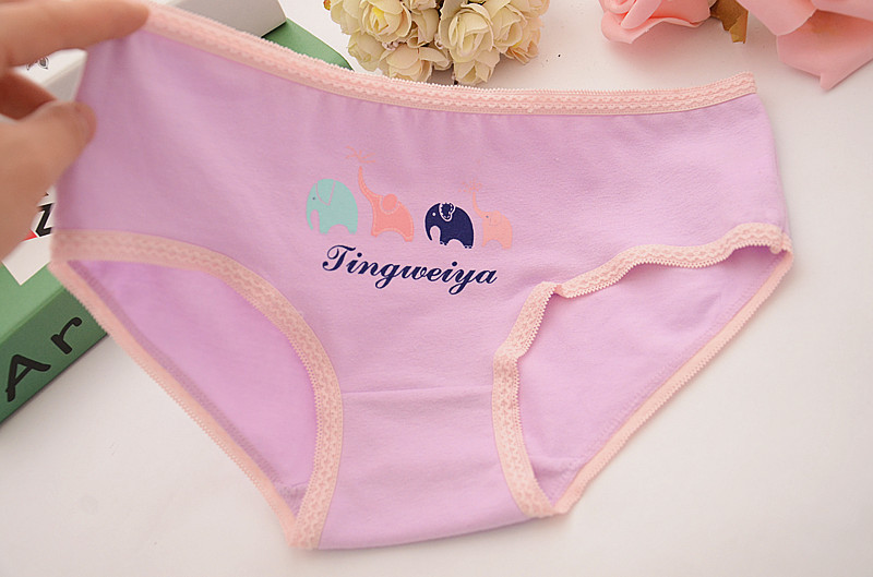 Slip jeunesse en coton - Ref 655391 Image 49