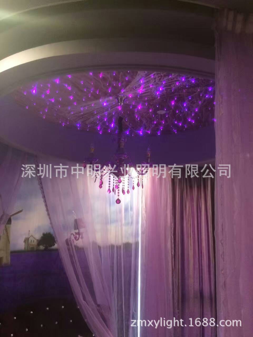 ���������Ƶ��컨�ǿն������ǿ��߲ʱ�ɫҹ����˸���˵����Ϲ���