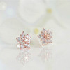 Fashionable accessory, universal zirconium, earrings, Korean style, flowered, wholesale