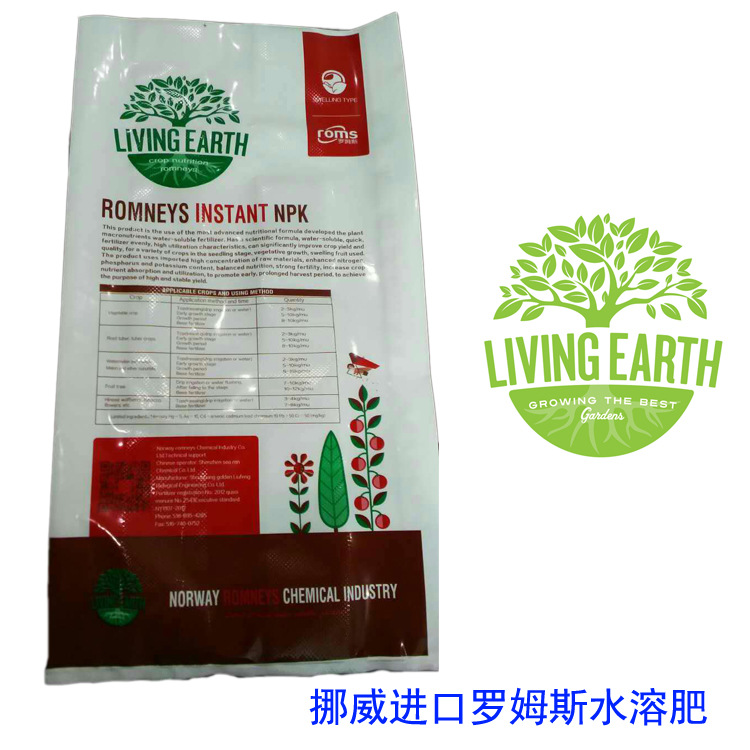 罗姆斯背面