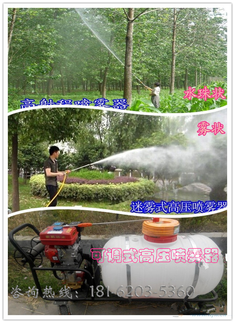 多喷头汽油打药机 新款打药机 汽油喷雾打药机