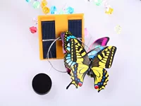 Solar butterfly